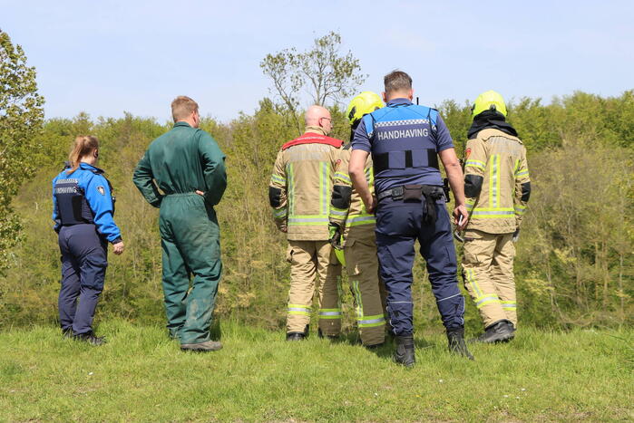 Lammetjes gedood door hond