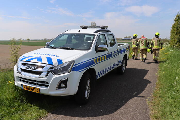 Lammetjes gedood door hond