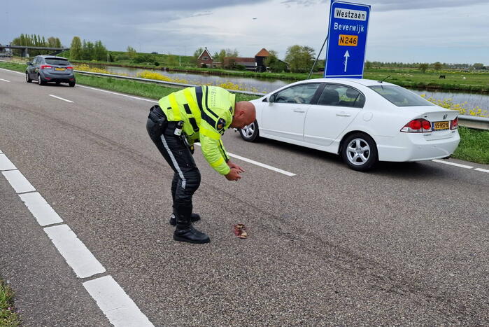 Eendje doodgereden bij aanrijding