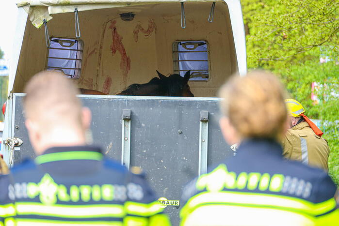 Paard overleden na verwonding in paardentrailer