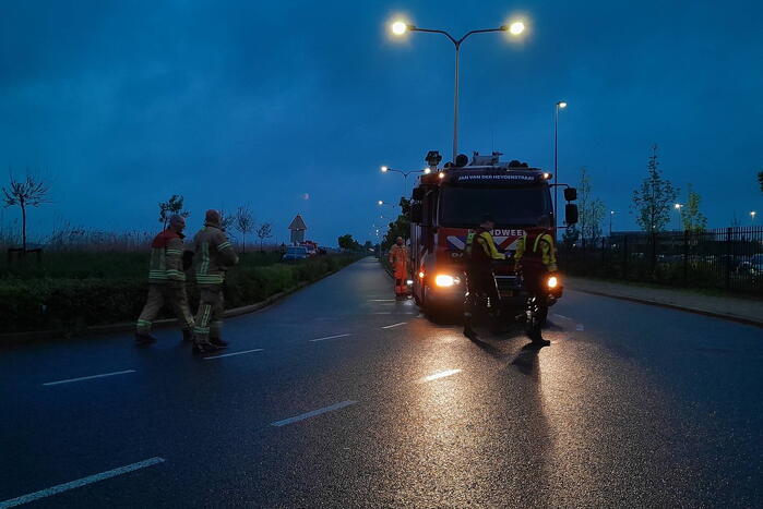 Lammetje raakt te water