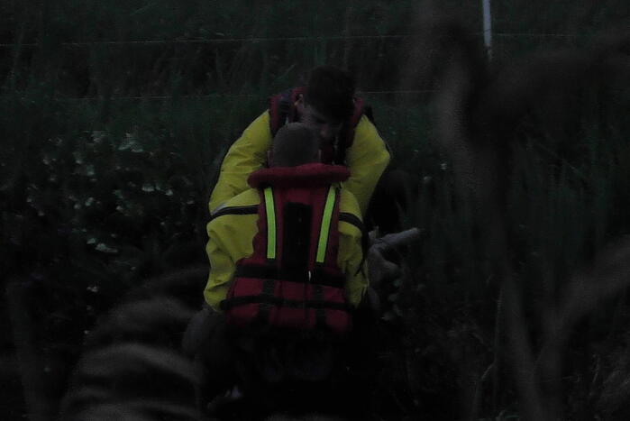 Lammetje raakt te water