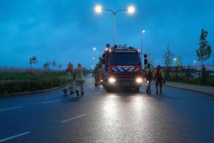 Lammetje raakt te water