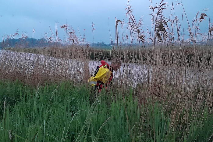 Lammetje raakt te water