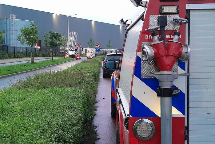 Lammetje raakt te water