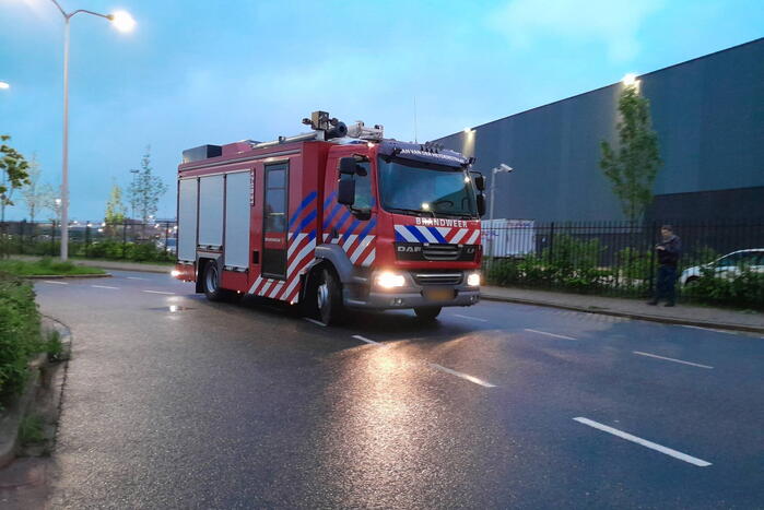 Lammetje raakt te water