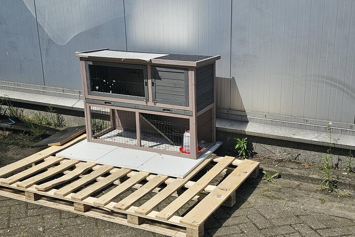 Duiven gedumpt in konijnen hok
