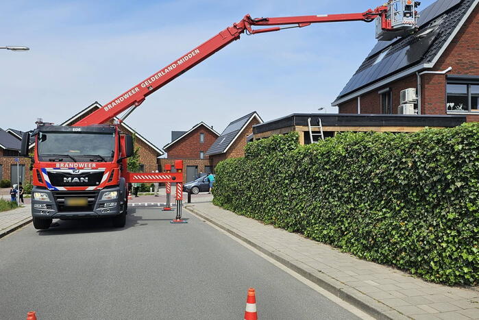 Duif vast onder zonnepanelen