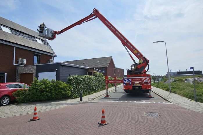 Duif vast onder zonnepanelen