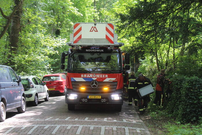 Brandweer verwijdert gevaarlijk hangende tak