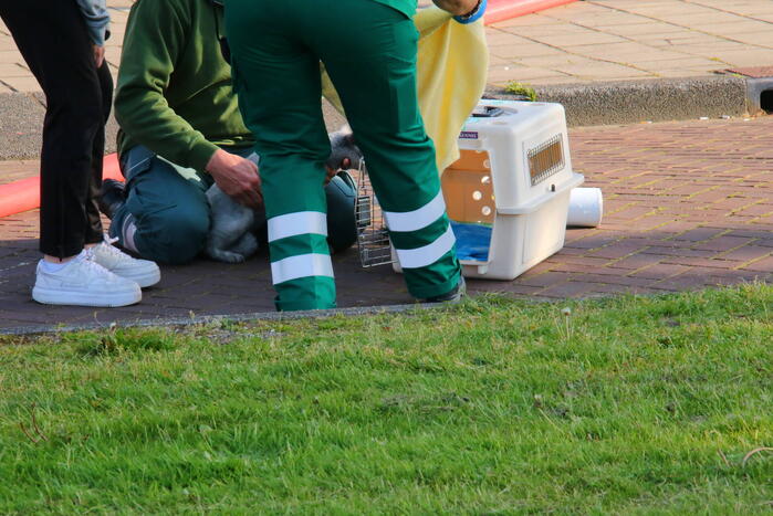 Brand na mogelijke explosie