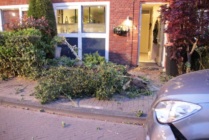 Bestuurster belandt met auto in voortuin
