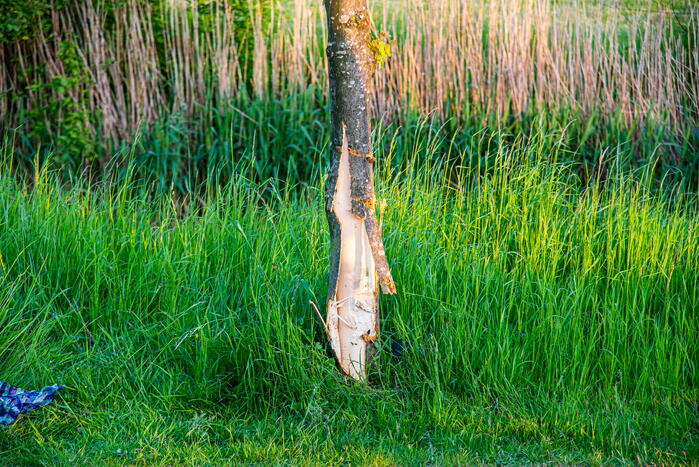 Scooterrijder ernstig gewond na frontale botsing tegen boom