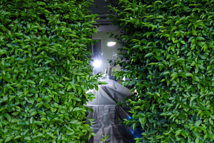 Kleine brand in achtertuin