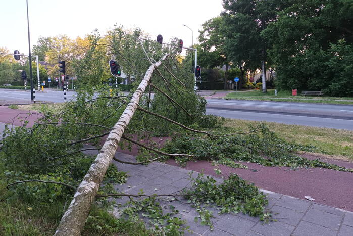 Brandweer ingezet voor omgevallen boom