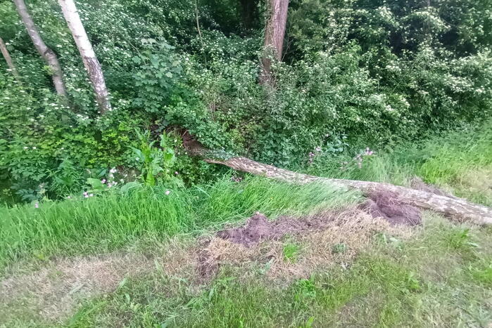 Brandweer ingezet voor omgevallen boom