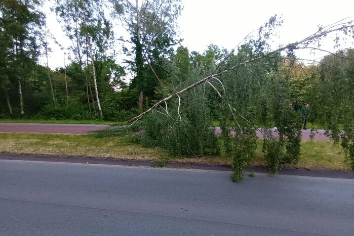 Brandweer ingezet voor omgevallen boom