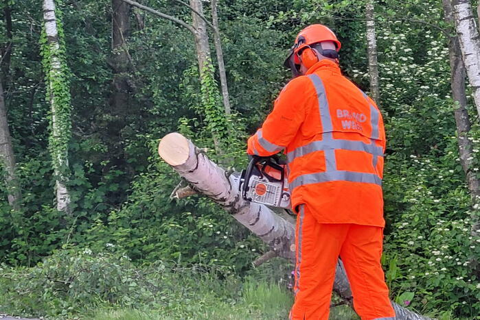 Brandweer ingezet voor omgevallen boom