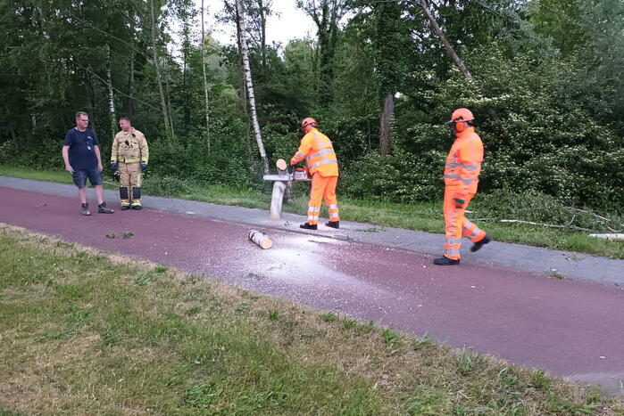 Brandweer ingezet voor omgevallen boom