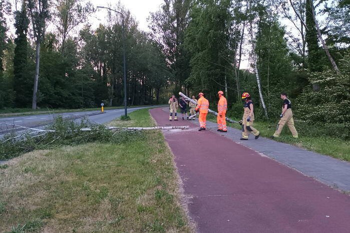 Brandweer ingezet voor omgevallen boom
