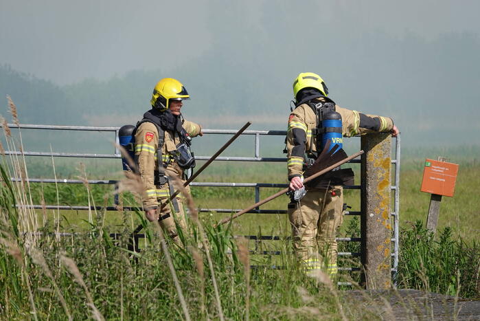 Schaapjes in veiligheid gebracht bij hevige rietbrand