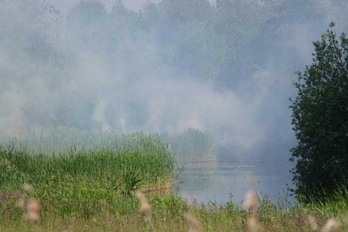Schaapjes in veiligheid gebracht bij hevige rietbrand