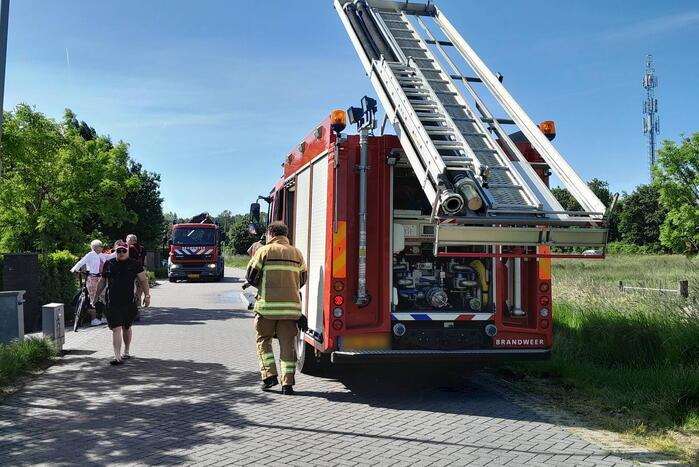 Brandweer haalt paard uit de sloot