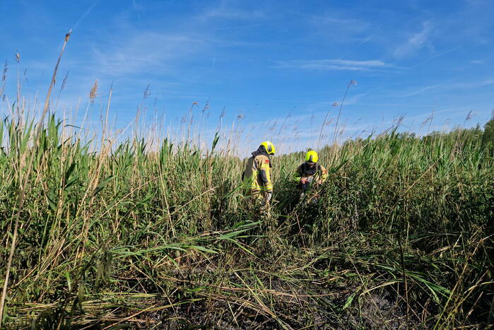 Rietbrand snel onder controle