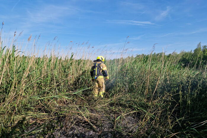 Rietbrand snel onder controle