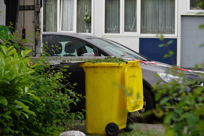 Politie vindt wietplantage met ruim 800 planten