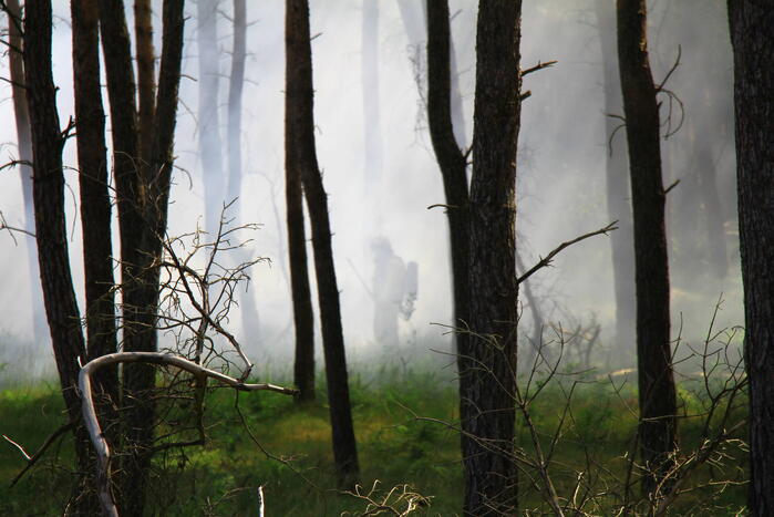 Brandweer rijdt zich vast bij natuurbrand