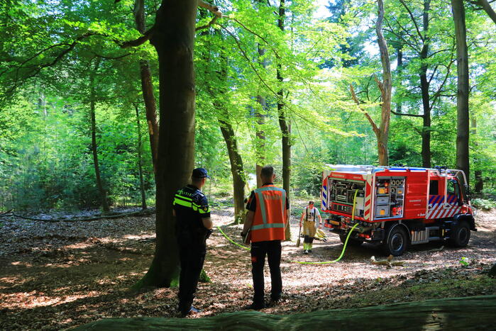 Flinke brand in natuurgebied Birkhoven