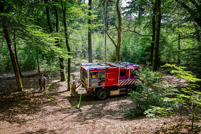 Flinke brand in natuurgebied Birkhoven