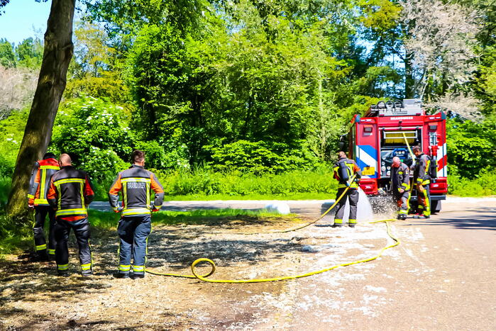Palingpad Nieuws Leidschendam 