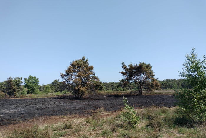 Opnieuw brand in natuurgebied