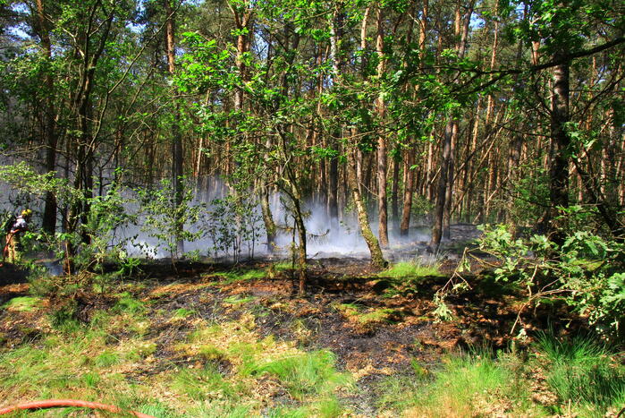 Brandweer bestrijdt hevige brand in natuurgebied