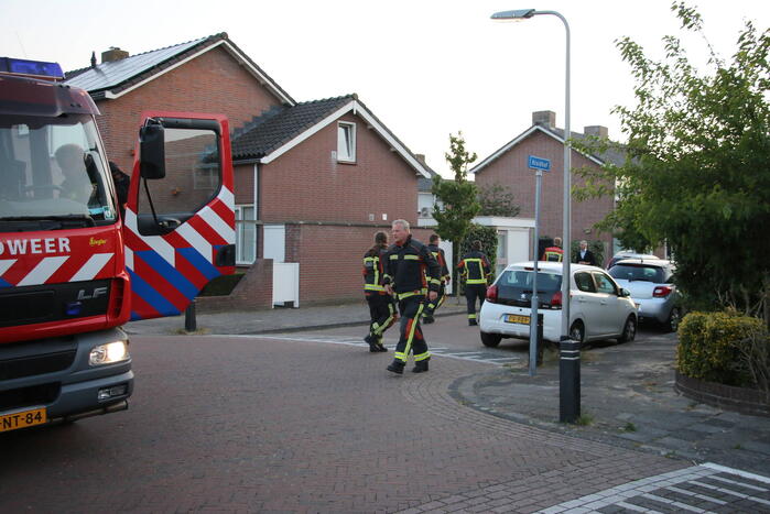 Brandweer ingezet voor gans op dak van schuur