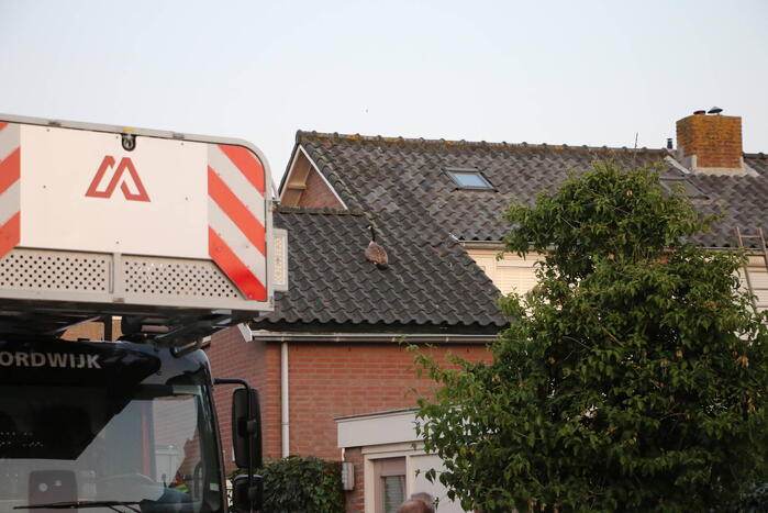 Brandweer ingezet voor gans op dak van schuur