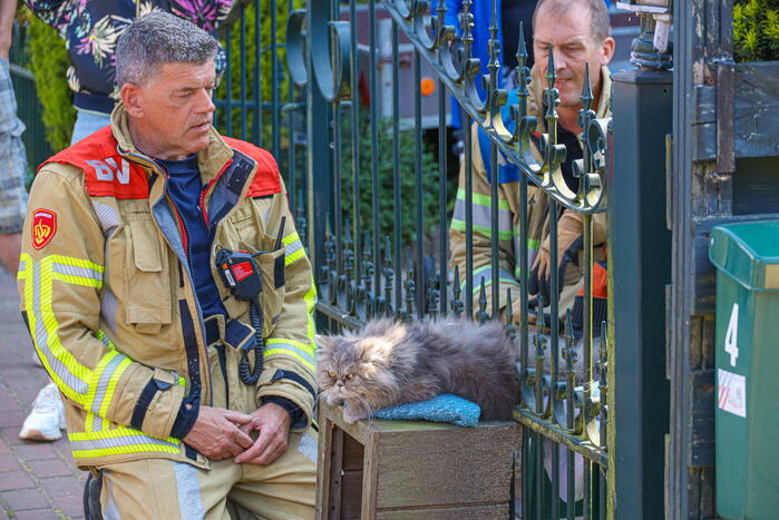 Brandweer bevrijdt kat Gijs uit hek