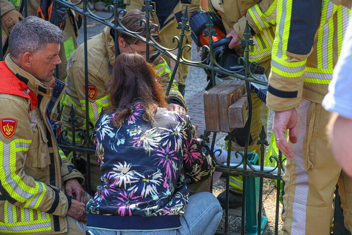 Brandweer bevrijdt kat Gijs uit hek