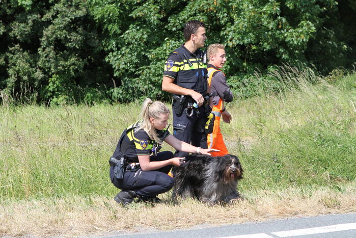 Frontale botsing tussen vrachtwagen en personenauto