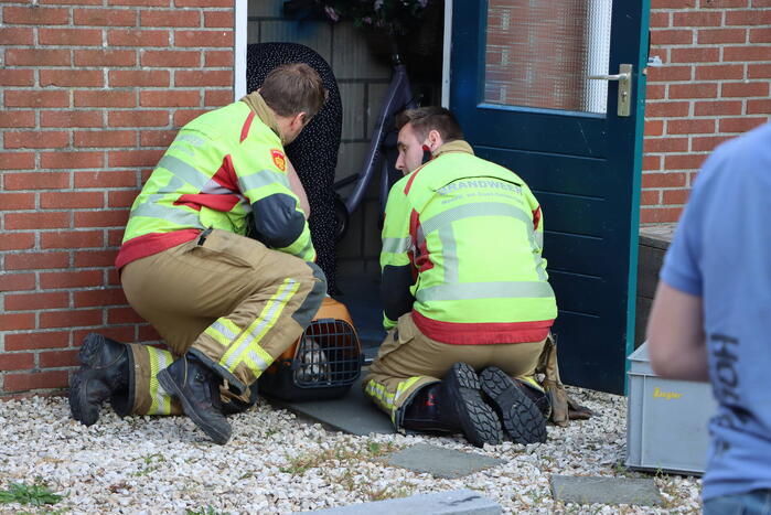 Twee konijnen gered door brandweer bij brand