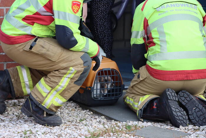 Twee konijnen gered door brandweer bij brand