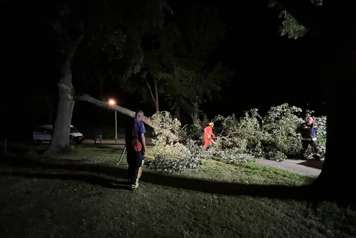 Grote tak breekt af en verspert weg