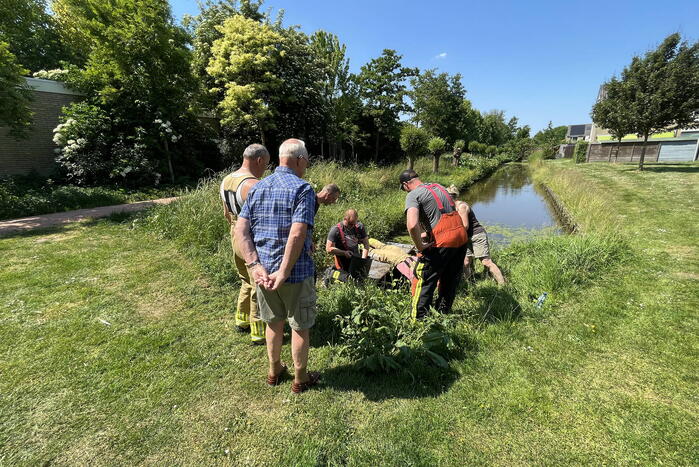 Waterhoentjes gered door brandweer