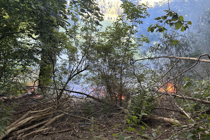Brandweer blust brand in bosgebied