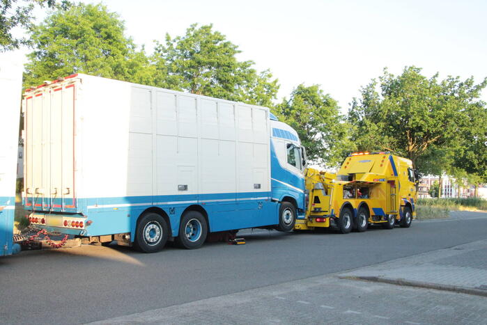 Vrachtwagen met koeien defect op snelweg
