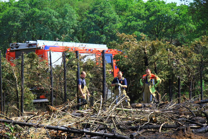 Nacontrole in bos na brand