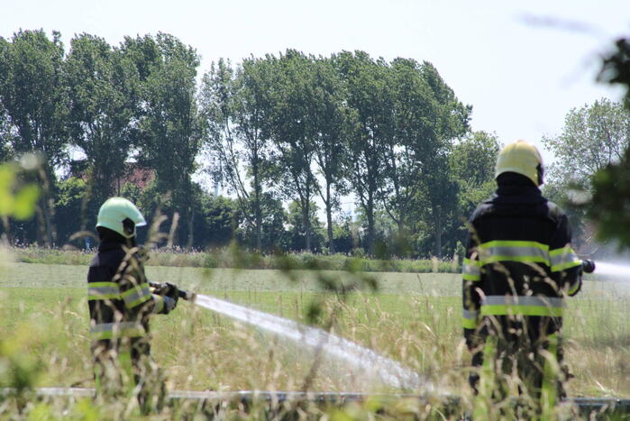 File door brand in berm