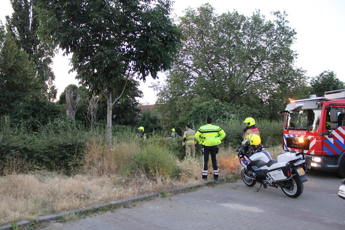 Brandende bosschages geblust